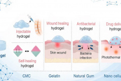 پانسمان‌های نوین از دل طبیعت؛ امید تازه برای درمان زخم‌های مزمن