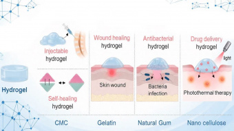پانسمان‌های نوین از دل طبیعت؛ امید تازه برای درمان زخم‌های مزمن